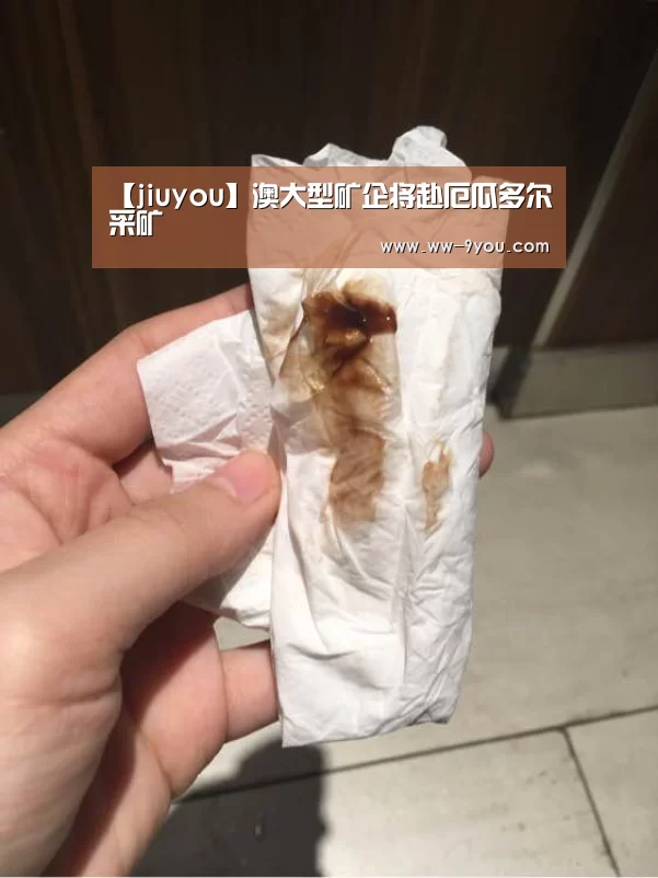 【jiuyou】澳大型矿企将赴厄瓜多尔采矿(图2) 九游娱乐下载